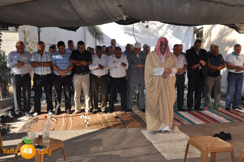 wafd motabaet3a (33).JPG